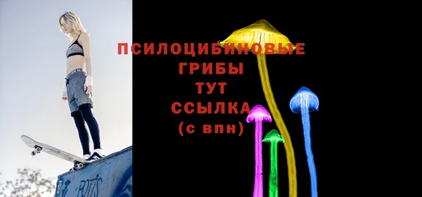 тгк Майский