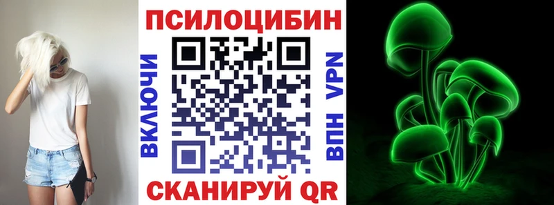 Псилоцибиновые грибы прущие грибы  где купить наркоту  Ковров 